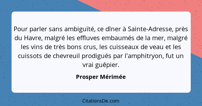 Pour parler sans ambiguïté, ce dîner à Sainte-Adresse, près du Havre, malgré les effluves embaumés de la mer, malgré les vins de trè... - Prosper Mérimée