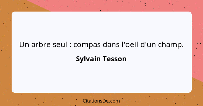 Un arbre seul : compas dans l'oeil d'un champ.... - Sylvain Tesson
