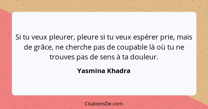 Si tu veux pleurer, pleure si tu veux espérer prie, mais de grâce, ne cherche pas de coupable là où tu ne trouves pas de sens à ta do... - Yasmina Khadra