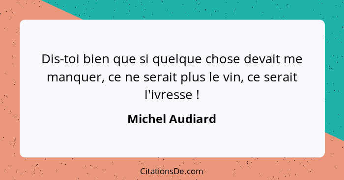 Dis-toi bien que si quelque chose devait me manquer, ce ne serait plus le vin, ce serait l'ivresse !... - Michel Audiard