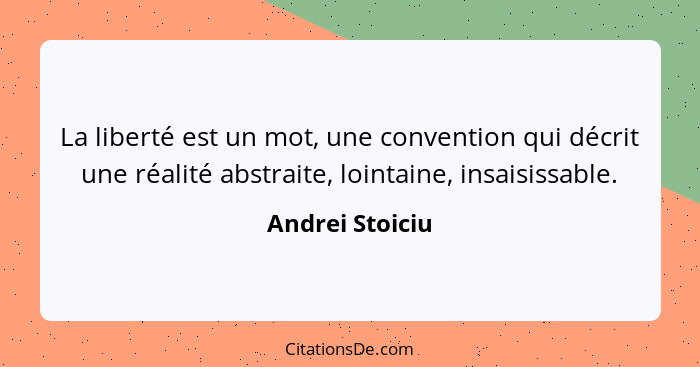 La liberté est un mot, une convention qui décrit une réalité abstraite, lointaine, insaisissable.... - Andrei Stoiciu