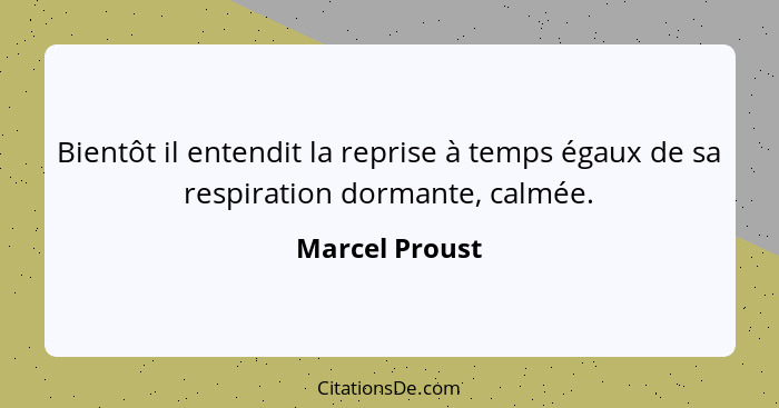 Bientôt il entendit la reprise à temps égaux de sa respiration dormante, calmée.... - Marcel Proust