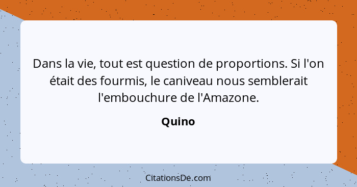 Dans la vie, tout est question de proportions. Si l'on était des fourmis, le caniveau nous semblerait l'embouchure de l'Amazone.... - Quino