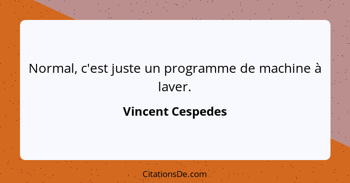 Normal, c'est juste un programme de machine à laver.... - Vincent Cespedes