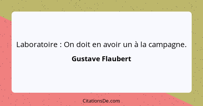 Laboratoire : On doit en avoir un à la campagne.... - Gustave Flaubert