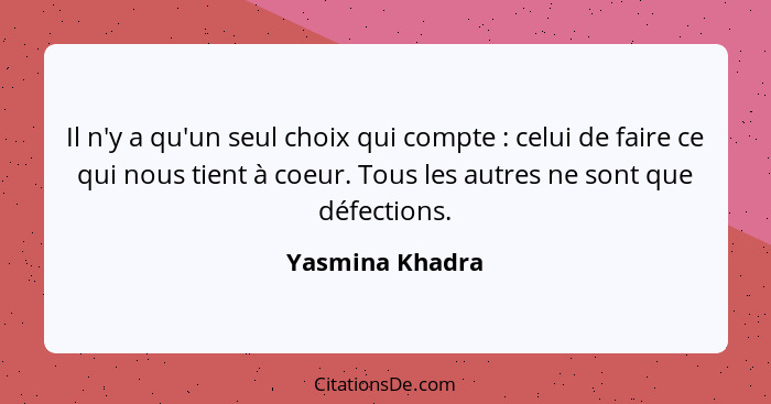 Il n'y a qu'un seul choix qui compte : celui de faire ce qui nous tient à coeur. Tous les autres ne sont que défections.... - Yasmina Khadra