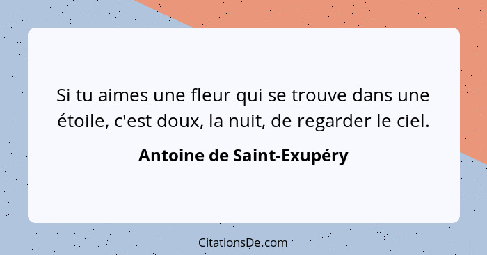 Si tu aimes une fleur qui se trouve dans une étoile, c'est doux, la nuit, de regarder le ciel.... - Antoine de Saint-Exupéry