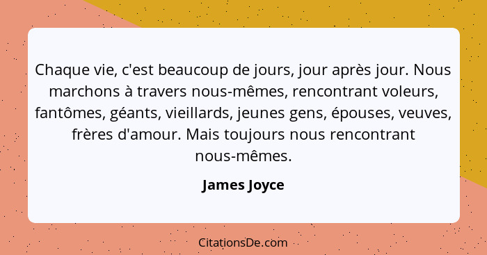 Chaque vie, c'est beaucoup de jours, jour après jour. Nous marchons à travers nous-mêmes, rencontrant voleurs, fantômes, géants, vieilla... - James Joyce