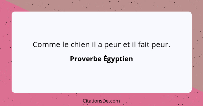 Comme le chien il a peur et il fait peur.... - Proverbe Égyptien