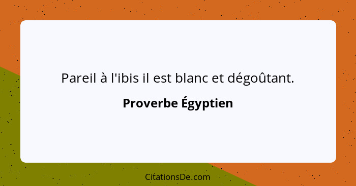 Pareil à l'ibis il est blanc et dégoûtant.... - Proverbe Égyptien