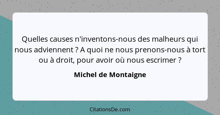 Quelles causes n'inventons-nous des malheurs qui nous adviennent ? A quoi ne nous prenons-nous à tort ou à droit, pour avoi... - Michel de Montaigne