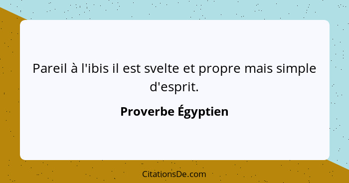 Pareil à l'ibis il est svelte et propre mais simple d'esprit.... - Proverbe Égyptien