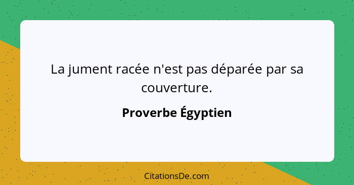 La jument racée n'est pas déparée par sa couverture.... - Proverbe Égyptien