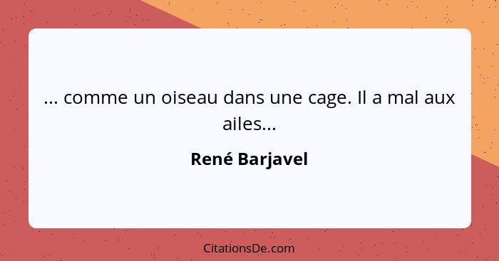 ... comme un oiseau dans une cage. Il a mal aux ailes...... - René Barjavel