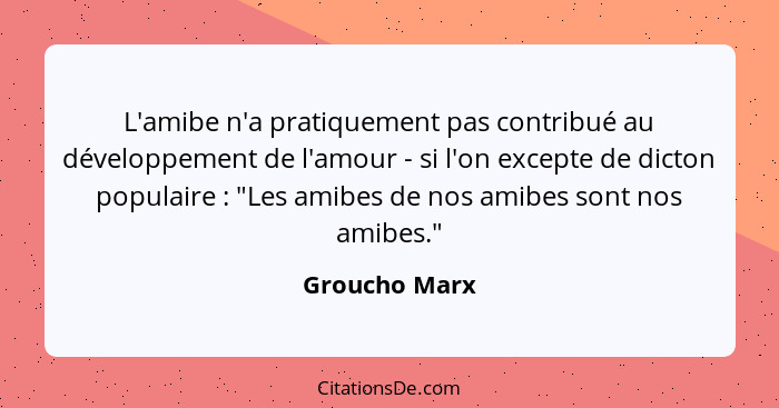 L'amibe n'a pratiquement pas contribué au développement de l'amour - si l'on excepte de dicton populaire : "Les amibes de nos amib... - Groucho Marx