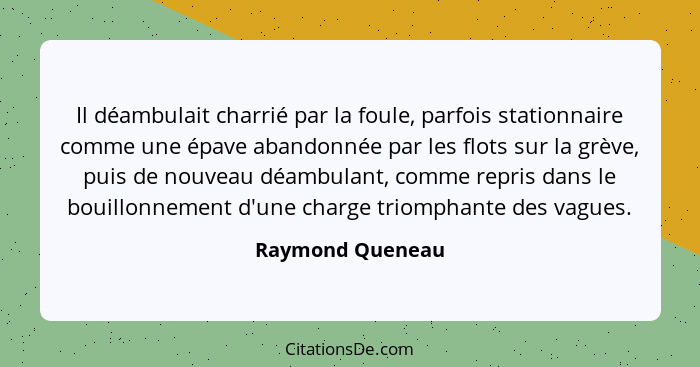 Il déambulait charrié par la foule, parfois stationnaire comme une épave abandonnée par les flots sur la grève, puis de nouveau déam... - Raymond Queneau