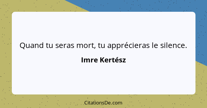 Quand tu seras mort, tu apprécieras le silence.... - Imre Kertész