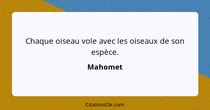 Chaque oiseau vole avec les oiseaux de son espèce.... - Mahomet