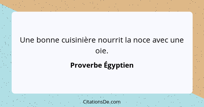 Une bonne cuisinière nourrit la noce avec une oie.... - Proverbe Égyptien