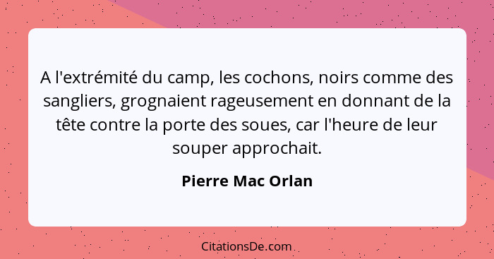 A l'extrémité du camp, les cochons, noirs comme des sangliers, grognaient rageusement en donnant de la tête contre la porte des sou... - Pierre Mac Orlan