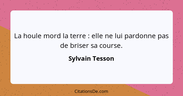 La houle mord la terre : elle ne lui pardonne pas de briser sa course.... - Sylvain Tesson