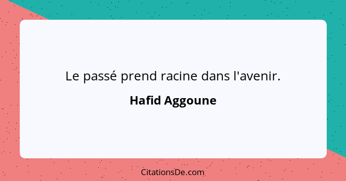 Le passé prend racine dans l'avenir.... - Hafid Aggoune