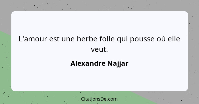 L'amour est une herbe folle qui pousse où elle veut.... - Alexandre Najjar