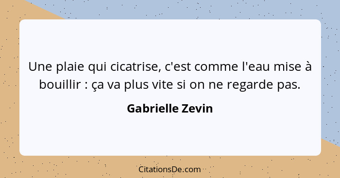 Une plaie qui cicatrise, c'est comme l'eau mise à bouillir : ça va plus vite si on ne regarde pas.... - Gabrielle Zevin