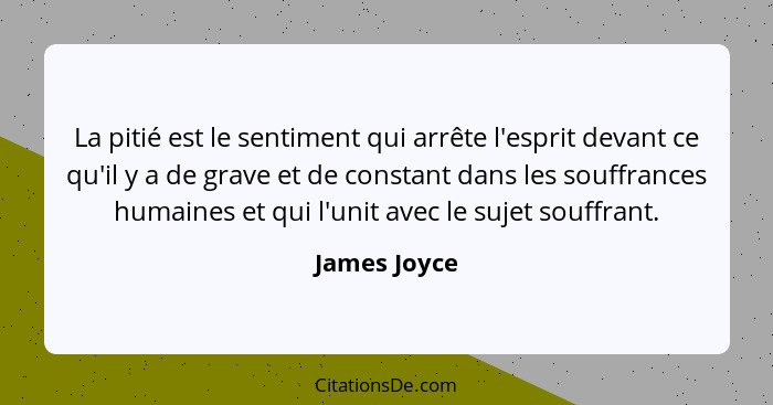 La pitié est le sentiment qui arrête l'esprit devant ce qu'il y a de grave et de constant dans les souffrances humaines et qui l'unit av... - James Joyce