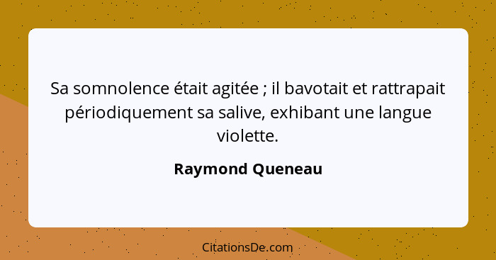 Sa somnolence était agitée ; il bavotait et rattrapait périodiquement sa salive, exhibant une langue violette.... - Raymond Queneau