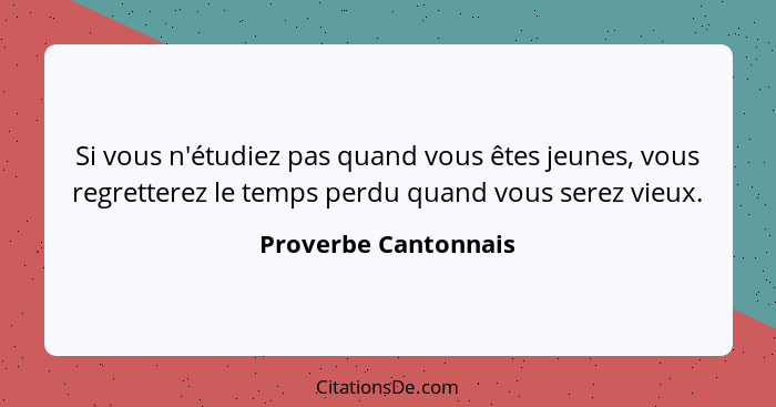 Si vous n'étudiez pas quand vous êtes jeunes, vous regretterez le temps perdu quand vous serez vieux.... - Proverbe Cantonnais