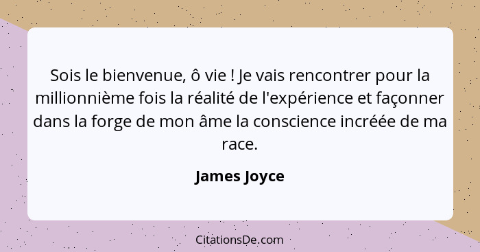 Sois le bienvenue, ô vie ! Je vais rencontrer pour la millionnième fois la réalité de l'expérience et façonner dans la forge de mon... - James Joyce