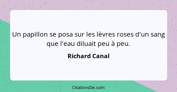 Un papillon se posa sur les lèvres roses d'un sang que l'eau diluait peu à peu.... - Richard Canal