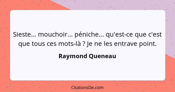 Sieste... mouchoir... péniche... qu'est-ce que c'est que tous ces mots-là ? Je ne les entrave point.... - Raymond Queneau