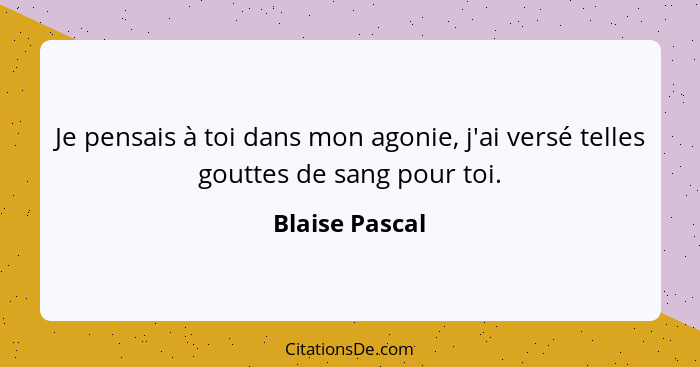 Je pensais à toi dans mon agonie, j'ai versé telles gouttes de sang pour toi.... - Blaise Pascal