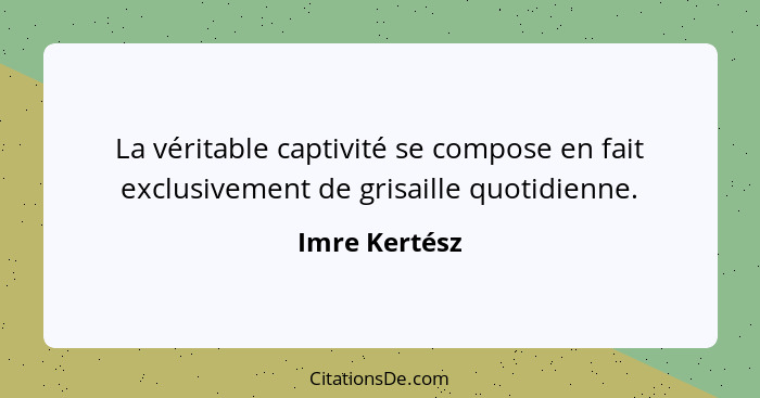 La véritable captivité se compose en fait exclusivement de grisaille quotidienne.... - Imre Kertész
